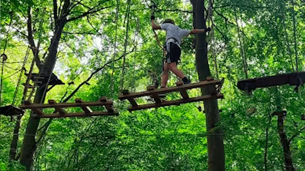aalborg med boern klatreparken aalborg