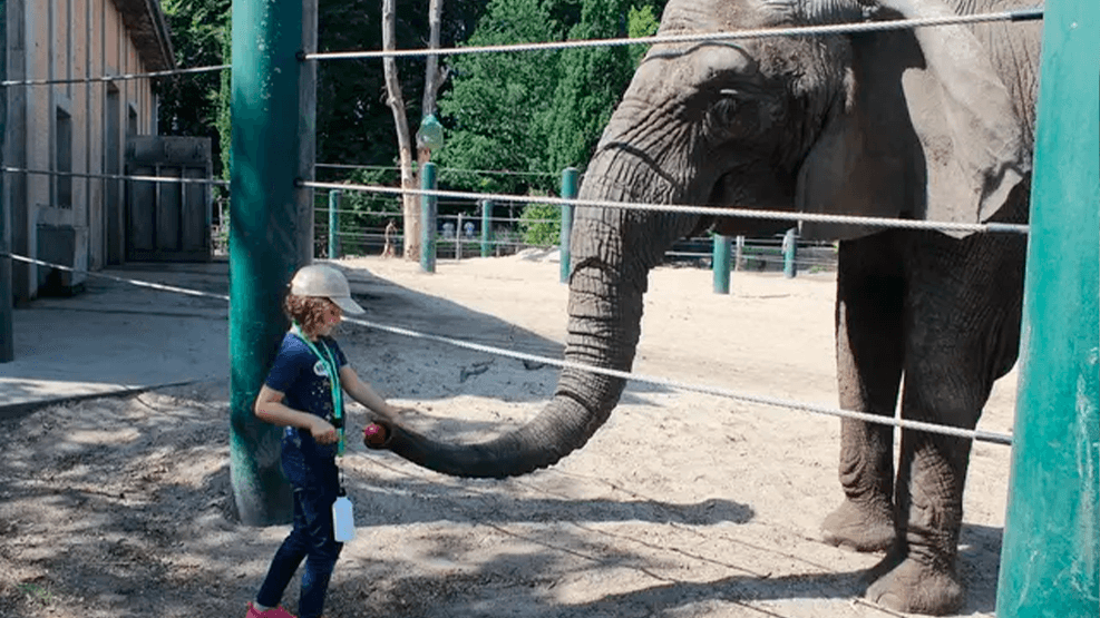 aalborg med boern zoo